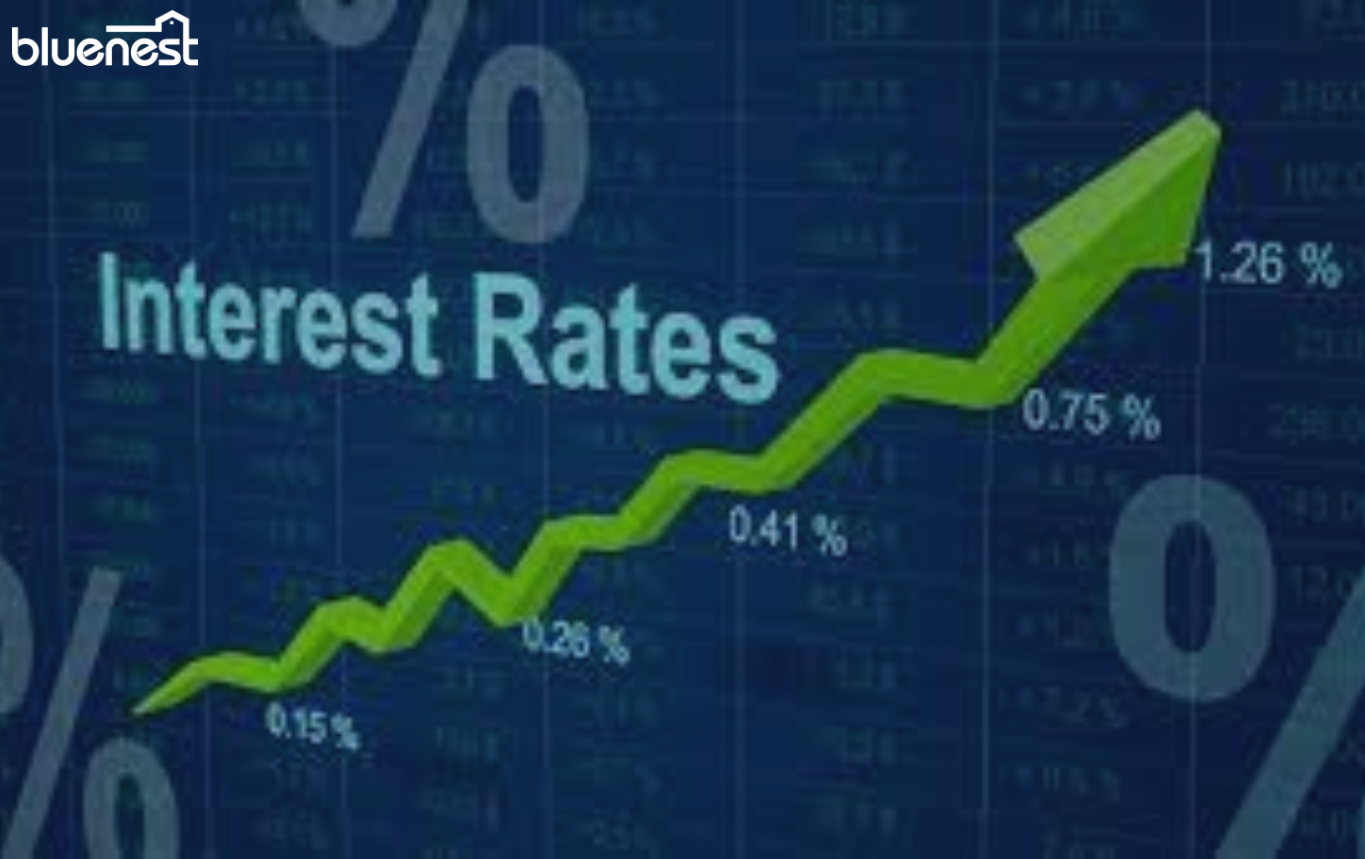 Commercial Property Interest Rates Uk